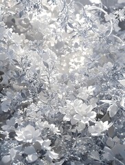 Beautiful white blossoms paired with intricate silver foliage, blossoms, paired, intricate