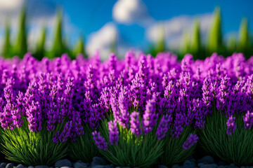 Obraz premium A field of purple flowers with a mountain in the background