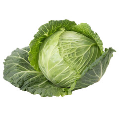 Obraz premium Fresh Green Cabbage Isolate On Transparent Background Cutout, PNG file, Cutout file