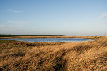 Naturstrand in Schillig, Wangerland, November 2024
