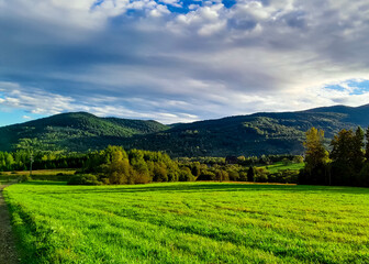 Green meadow in Bieszczady Mountains Poland.