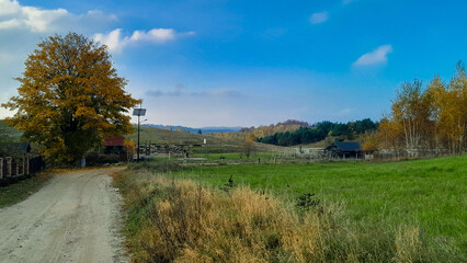 Country road over Kashubia in autumn.