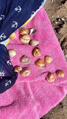 dekoracja, muszelki, morki, piasek, plaża, holidays, ręcznik © Joanna