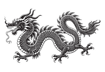 Chinese's Dragon sketch hand dawn drawing vector illustration © tarakacraft