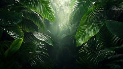 Lush Tropical Foliage with Vibrant Green Leaves in a Dense Jungle Environment