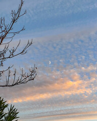 Luna en un cielo azul