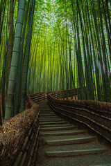 Japan Kyoto Bamboo Forest Adashino Nenbutsu-ji Temple