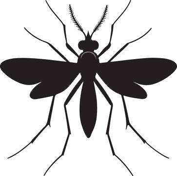 recommend clip art: Mosquito silhouette vector art and illustration design.