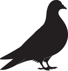 Pigeon silhouette vector art and illustration design.