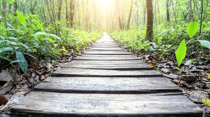 A serene wooden path stretches into a lush green forest, bathed in the warm glow of sunlight. Leaves rustle gently, inviting peaceful exploration and reflection.
