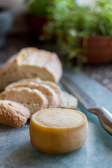 Portuguese amanteigado cheese with bread 