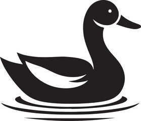 black and white duck