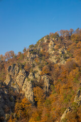 farm, animal, alpaca, llama, mammal, nature, cute, wildlife, wool, peru, domestic, lama, zoo, funny, fluffy, portrait, face, fur, white, brown, illustration, head, countryside, character, smile, vecto