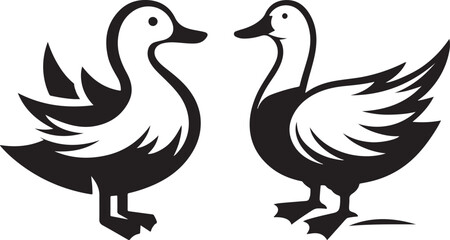 black and white goose