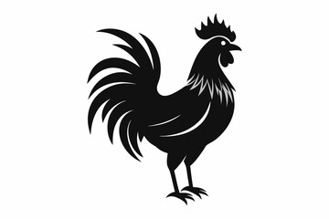  a rooster silhouette vector