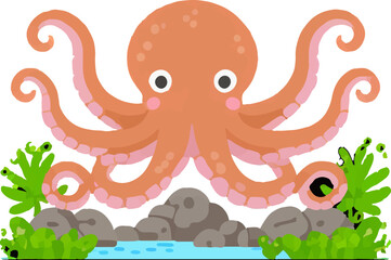 Ecosystem Marine Tentacles Biology Animal