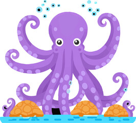 Octopus Camouflage Tentacles Ocean Tentacle