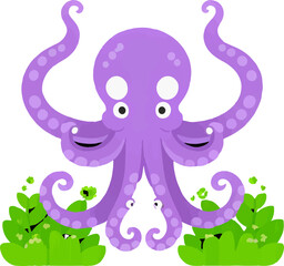 Octopus Survival Conservation Ocean Animal