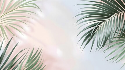 Obraz premium Tropical Palm Leaves on Gradient Background: Minimalist Summer Design with Soft Light and Shadows.