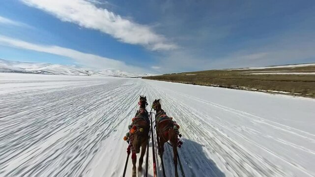Frozen Cildir Lake, riding with horse carriage