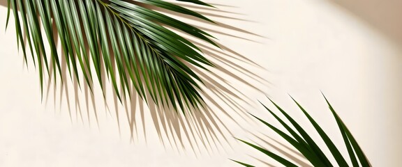 Obraz premium Tropical Palm Leaf: Minimalist composition with shadows on beige background, perfect for design projects.