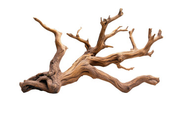Natural driftwood branch with intricate textures and organic design