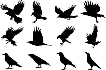 Crow bird silhouettes vector illustration set