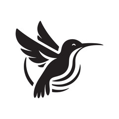 bird of paradise illustration