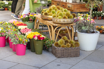 
A colorful flower shop stand with baskets on a city street