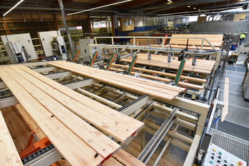 woodworking/ sawmill: production and processing of wooden boards in a modern industrial factory - assembly line in production