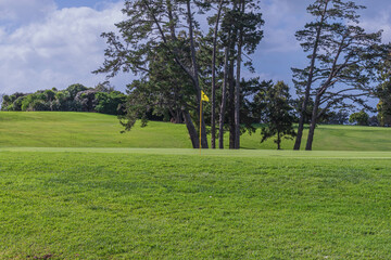 Golfing in Harmony with Nature: The Picturesque Course Setting