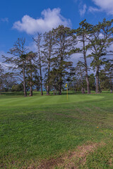 Capturing the Beauty of the Meticulously Maintained Golf Course