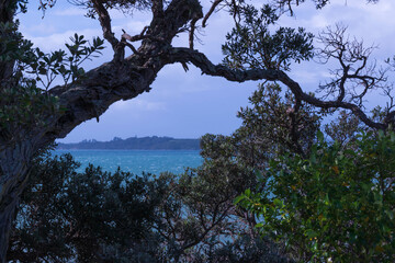 Lakeside Tableau: A Dramatic Natural Frame for the Scenic Overlook