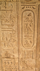 Wall relief of a cartouche and other hieroglyphics, Kom Ombo Temple Egypt
