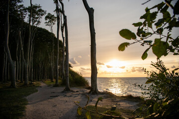Sonnenuntergang am Gespensterwald (Ostsee)
