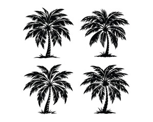 Fototapeta premium plam tree black and white Silhouettes.