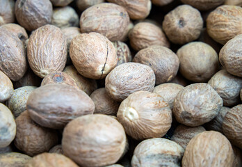 Background of many nutmegs in shells