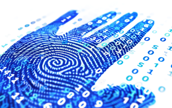 Digital Scan of Fingerprint and Binary Code Isolated on Transparent Background PNG.