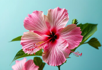 A vase with a pink flower placed on a table.