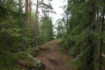 Russia Leningrad region Vyborg park Mon Repos on a cloudy summer day