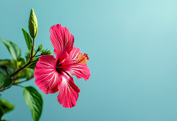 Bee resting on a pink flower.