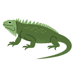 Cartoon cute iguana. Wild hand drawn animals. Childish illustration. Kids style