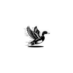 Minimal flying duck vector silhouette, black color silhouette, loon duck bird flying silhouette vector style art