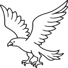 Eagle bird vector art outline illustration