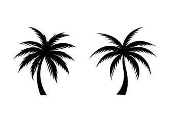 Fototapeta premium palm tree summer silhouette