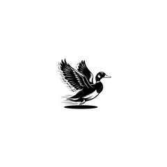 Minimal flying duck vector silhouette, black color silhouette, loon duck bird flying silhouette vector style art