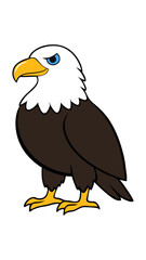 Fototapeta premium american bald eagle with blue eyes on white background