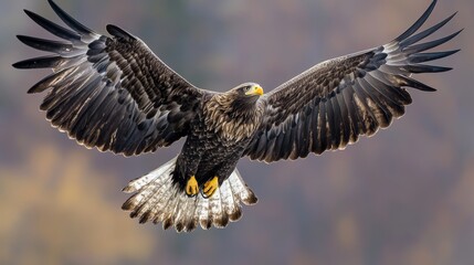 A majestic eagle soaring gracefully against a blurred natural background.