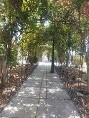 landscape, nature, outdoor, europe, travel, destination, mountain, grenn, hill, cliff, view, peace, relax, trekking