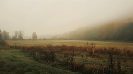 Fototapeta premium Misty Morning Field With Foggy Trees